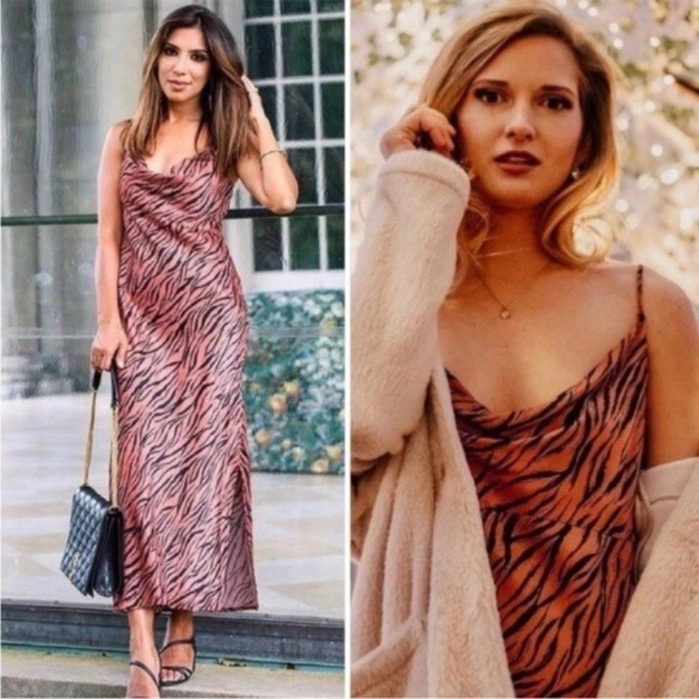 Anthropologie Zebra Print Midi Dress - Black and Brown
